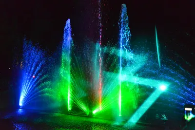 DSC_7044 (Large).JPG